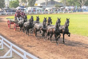 Swartlandskou vier sy 90ste bestaansjaar