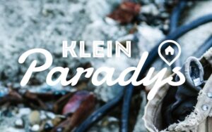 Wys jou binnenshuise flair in realiteitsreeks