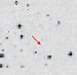 Asteroïed na Willie vernoem