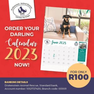 Keep your dates with DAR