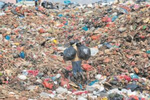 Vullisterreine in W-Kaap ‘slaag toets’