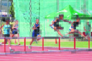 Hekkies nie ’n probleem