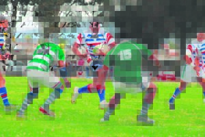 Young Gardens oorheers Rangers in rugbystryd