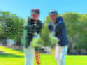 Boishaai en Paarl Gim in krieketstryd