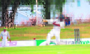 Vredenburg-Saldanha kraai koning in T20