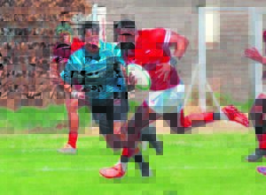 Oudleerders sprei vlerke