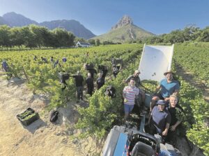 Parstyd in die Boland