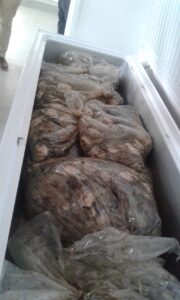 Massas perlemoen ontdek in winkel