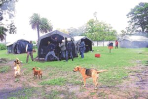 Orleanspark ‘is onveilig’