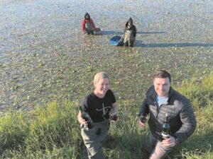Lekka, lekka waterblommetjies