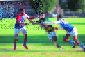 Albions omseil Young Gardens