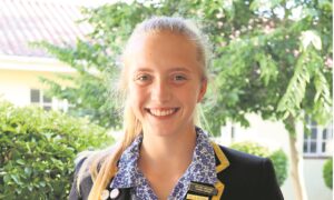 Skool presteer by reeks