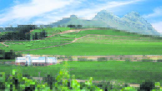 Laibach Estate becomes Ladybird Vineyards