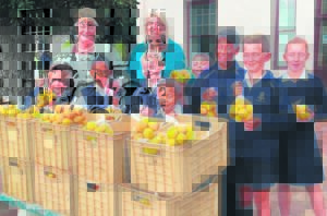 Sappige sitrus teenvoeter teen koue