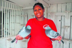 Vinniger as die poskantoor