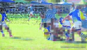 Newton loop oor Hillcrest