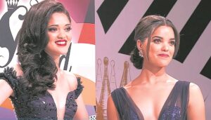 Dié Paarliete benoem vir gesogte Silwerskermtoekennings