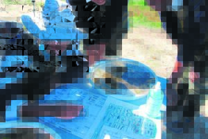 Focus on conservation in Mbekweni