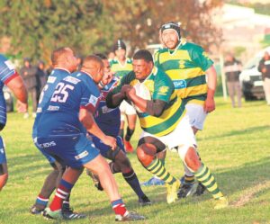 Albions struikel teen Macassar