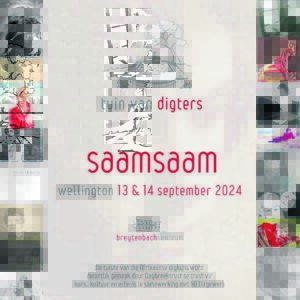 Digkuns-fees huldig Ingrid Jonker