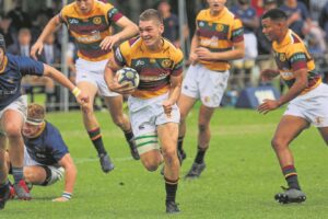 Dis pale toe vir Gim!