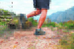 Sluit somer met ‘Weg’-stapfees af