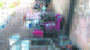 Haweloses plak steeds by brug