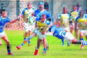 Paarlse spanne verras nie juis