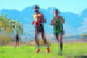 Landloopliga op Allandale