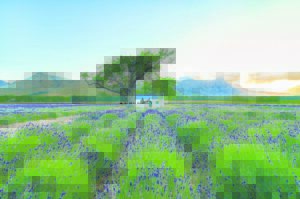 JAN heads to Franschhoek