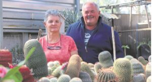 Ontmoet die kaktus- en vetplantman