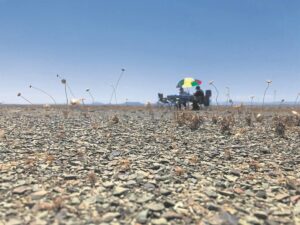 Pragtige verlate vlaktes