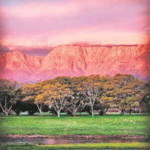 Damvlakke aan die daal