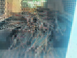 Rail copper cable stolen 1 m at a time