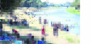 Bergrivier gee lafenis, babalaas