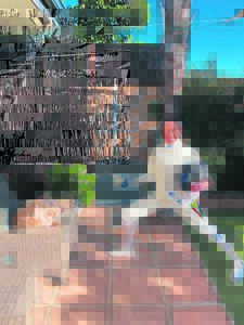 Vrouekampioen presteer