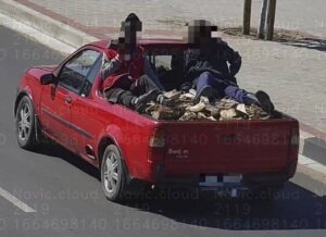 Boomstropers doenig in berge