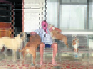 Boer verloor vinger ná kobra se pik