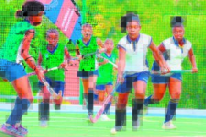 Hokkiebokkies lewer pragvertoning