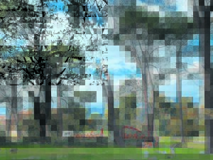 Bome val by De Poort oor en weer