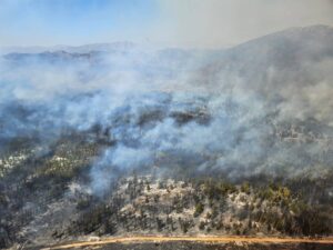 Wolseley fire still raging, now moving towards Bainskloof