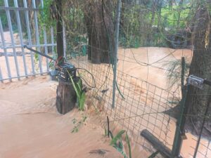 Reënwater uit pas verspoel erwe