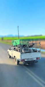 Onwettige jag met honde kwel