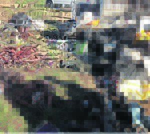 Help nab the cable thieves!