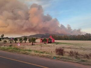 Paardeberg-brand nog nie volkome geblus nie
