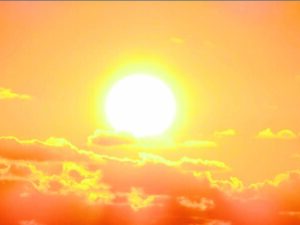 Be vigilant of the heatwave