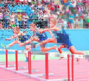 Laerskole pronk op die Dal