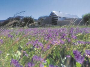 De Poort still not tourism gateway