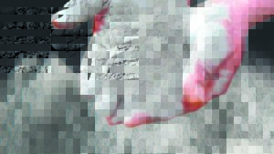 De Zoete-inval beveg steeds stof