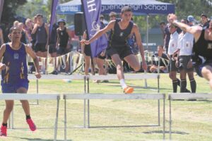 Hugenote kraai koning op baan